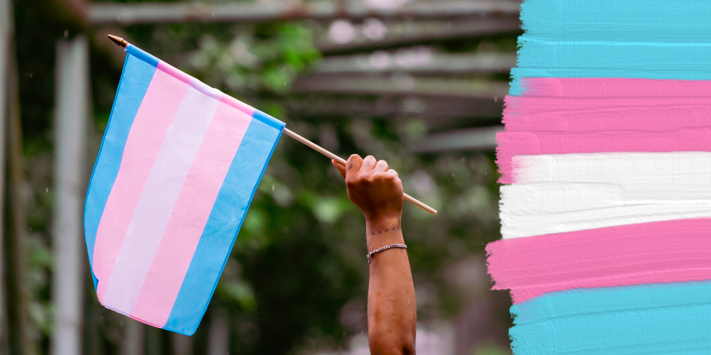 A hand holds a blue, pink, and white transgender pride flag.