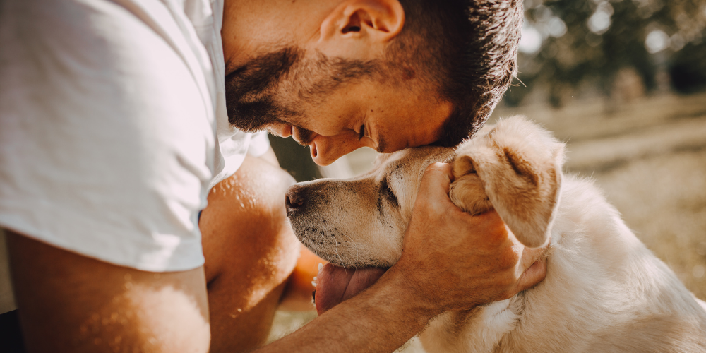 A man hugs a Labrador Retriever dog