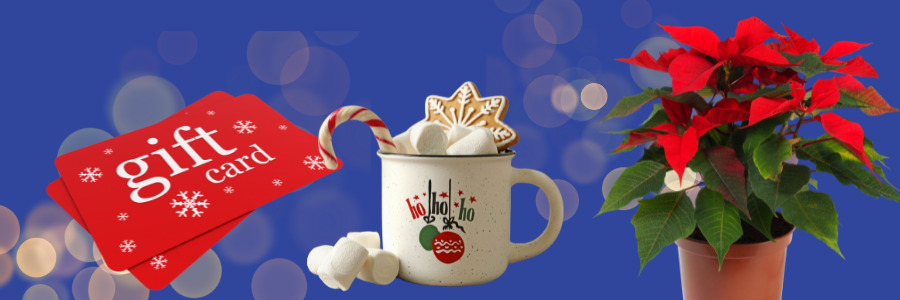mugs gift cards