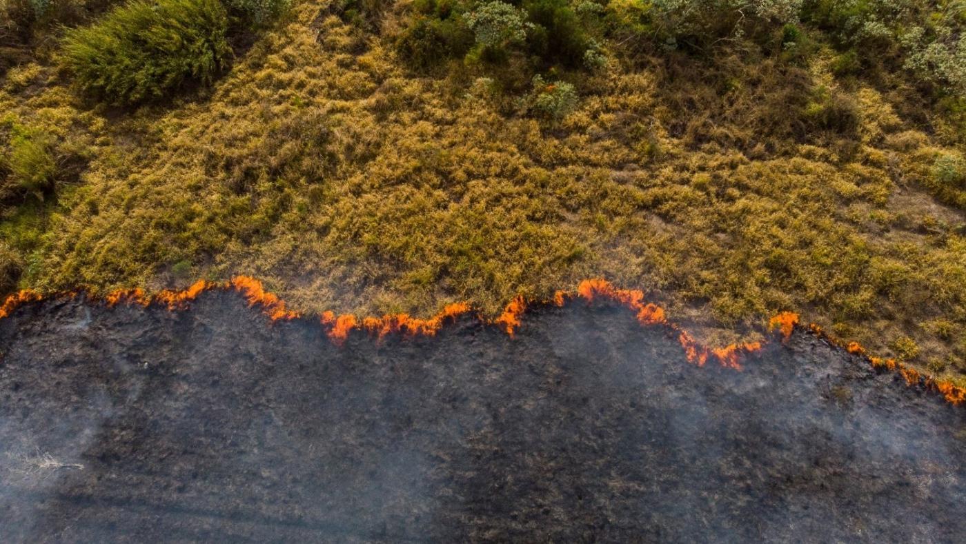 Imagen aérea de un área natural incendiándose