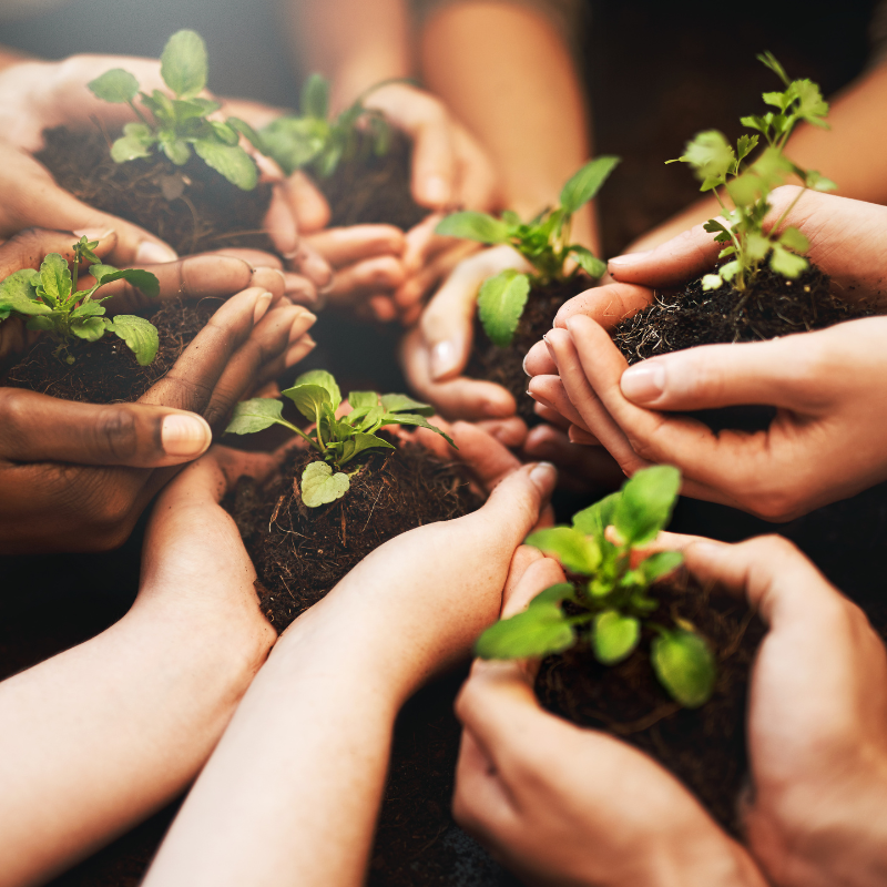 earth day 2025