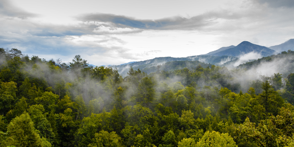 Great Smoky Mountains 