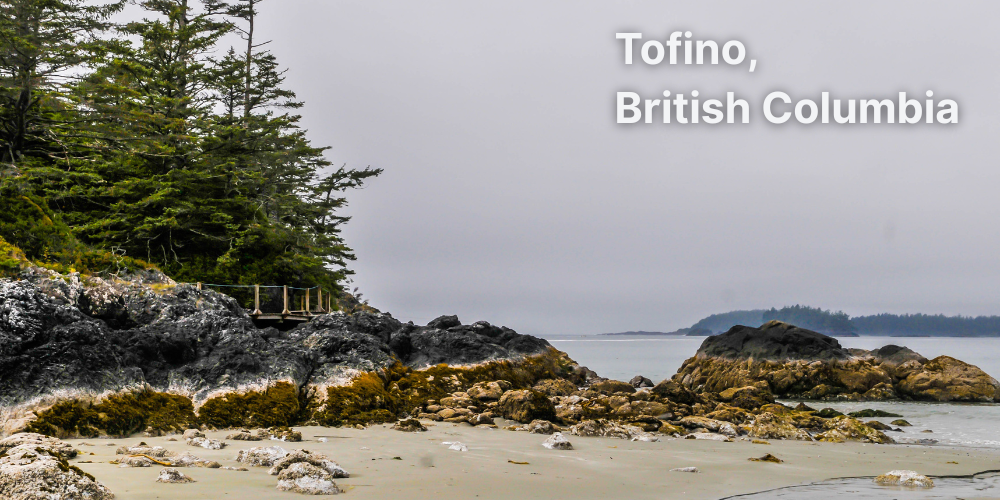 Beach in Tofino