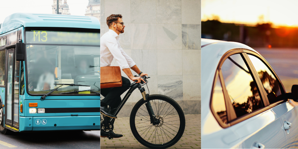 How travellers prefer to go around while travelling on holidays