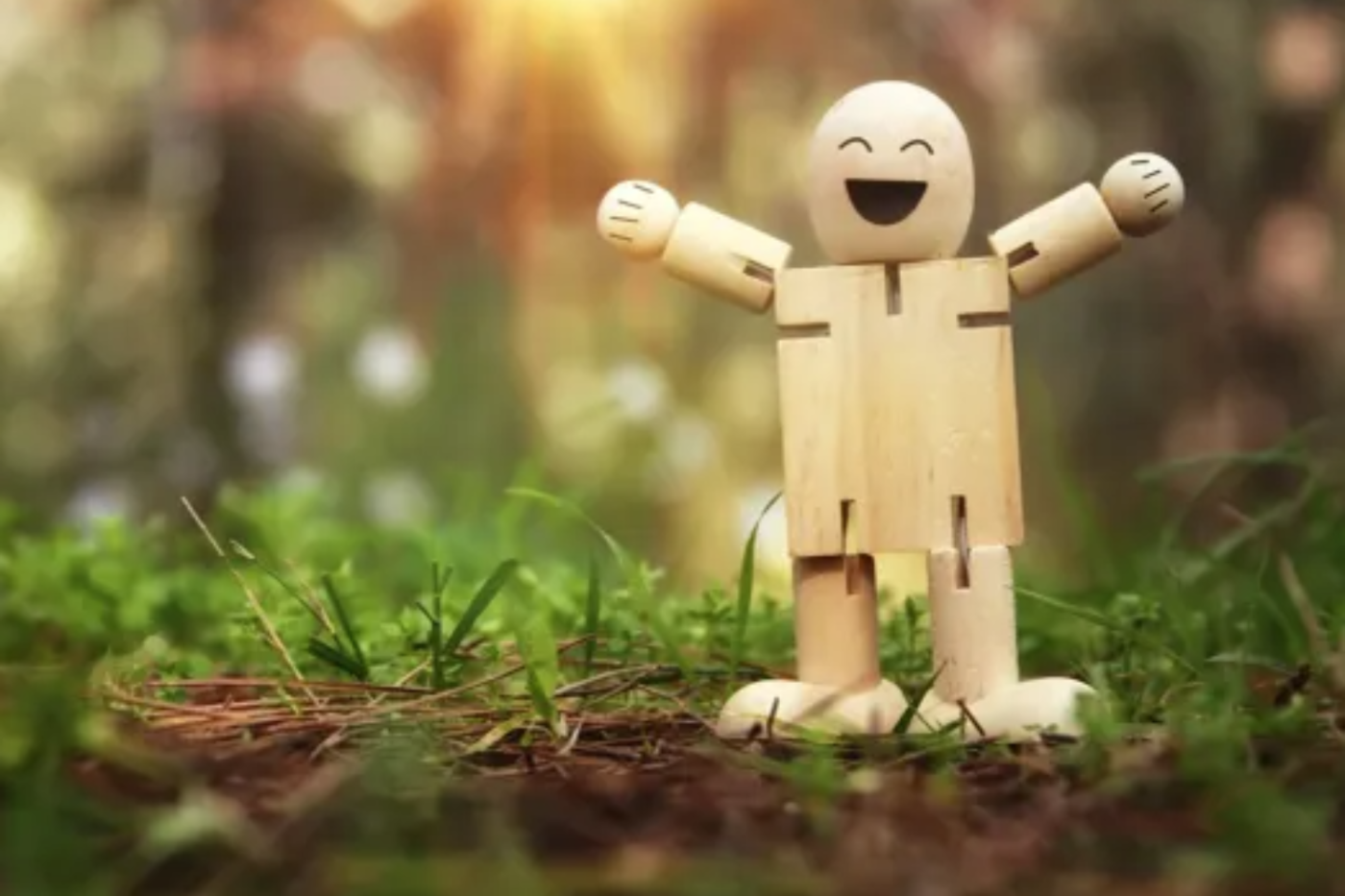 Ipsos Happiness Report Landscape