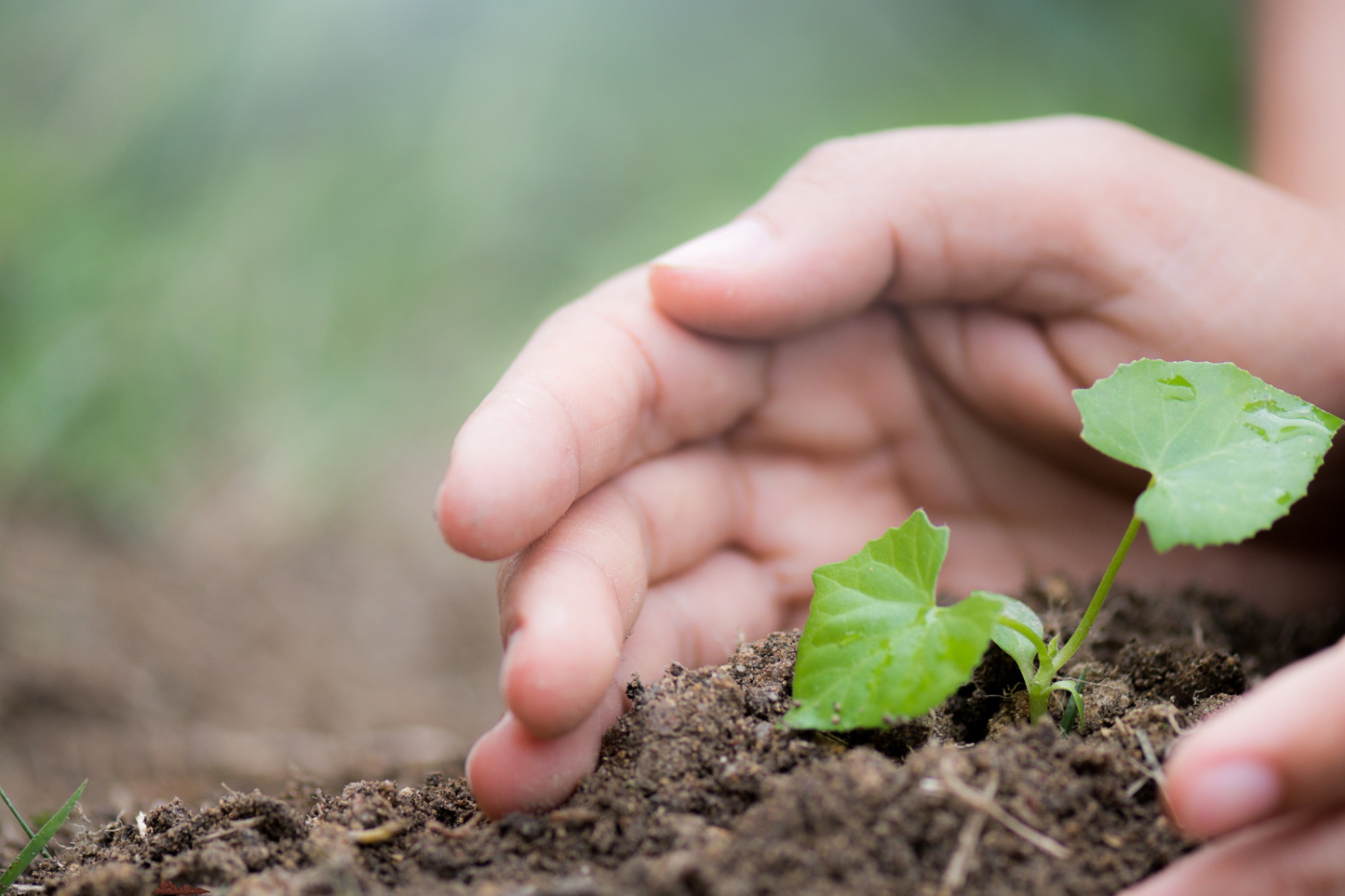 Earth Day 2026 landscape