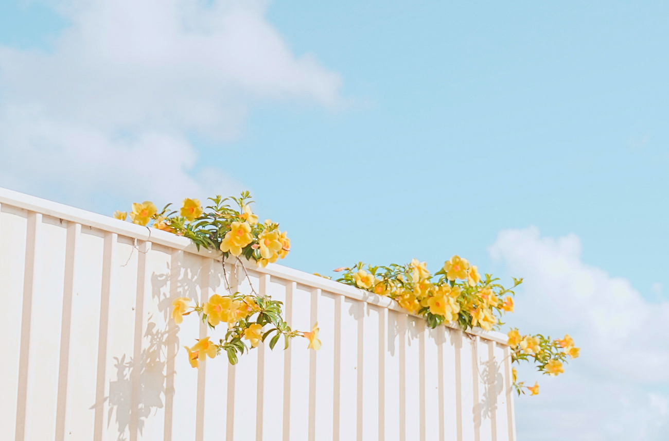 Feeling Happier Already? You’re Not Alone