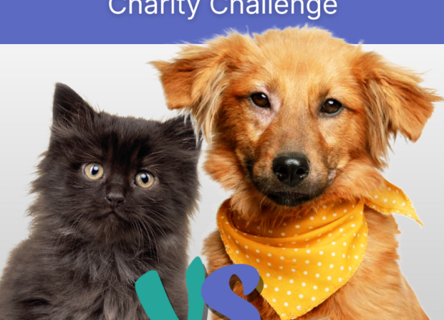 A black kitten and a tan dog under text that says Cats vs Dogs Charity Challenge