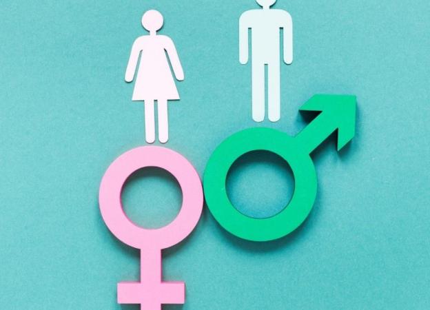 Imagen de concepto representando a la mujer y el lado femenino y al hombre y el lado masculino.