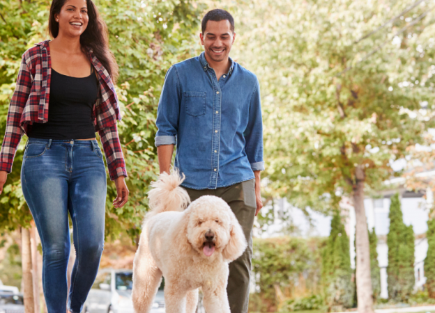 A man and a woman walk their dog through a residential neighborhood